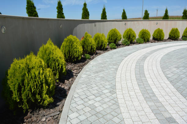 Best Driveway Paving Contractor  in Redwood, TX